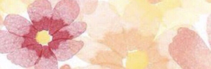 onphkn's profile banner image