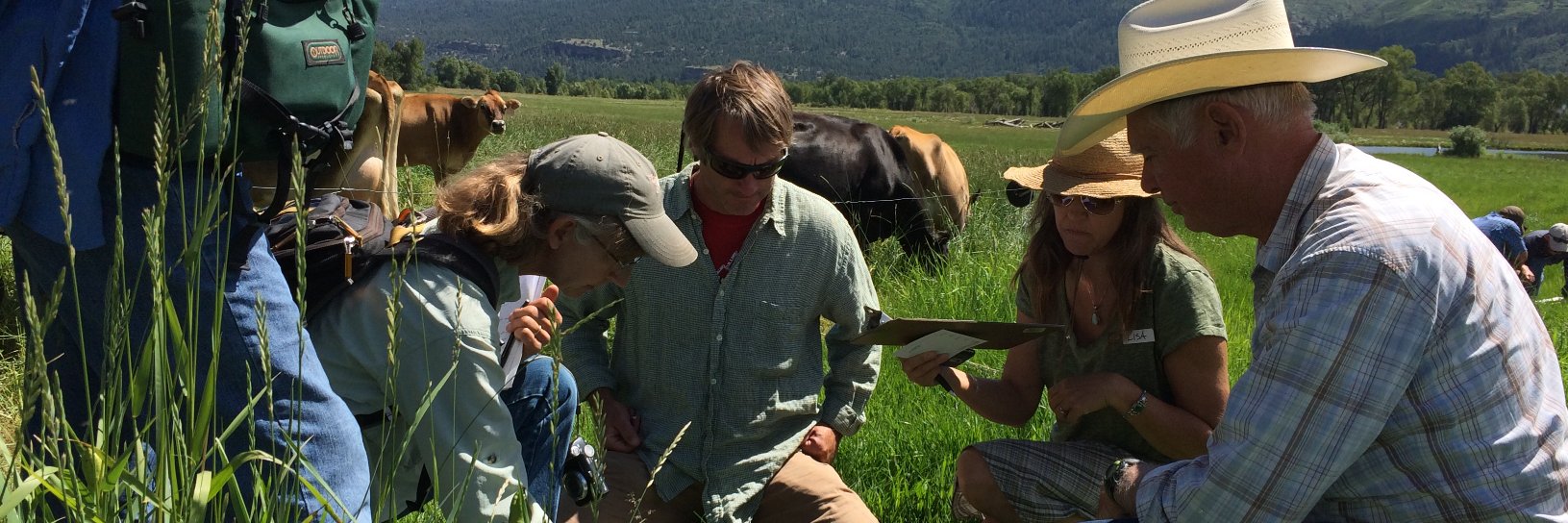 Holistic Mgmt. Int'l banner