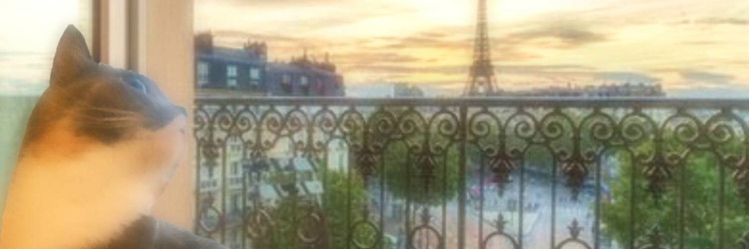 rerep0's profile banner image