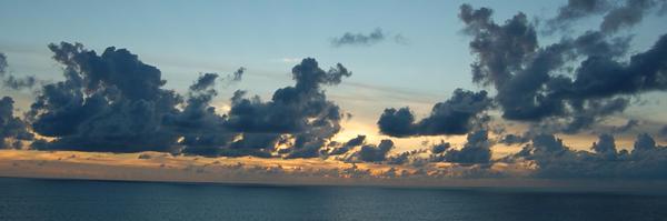 livesuineg Profile Banner