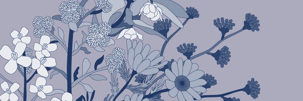 BTOBPoland's profile banner image