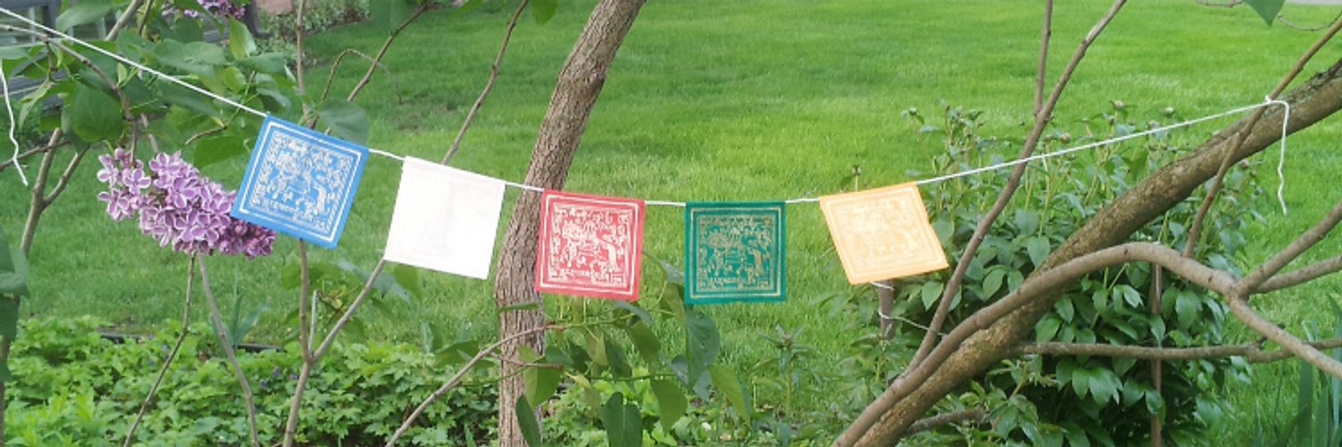 Meredith Tupper (Post-Deep State Solutions) banner