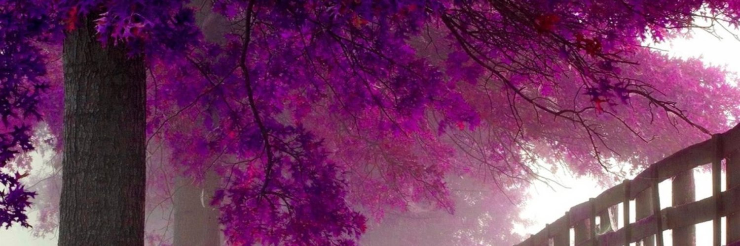 Mr. Abstract Omega banner