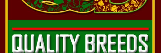 Luqman Muraina banner