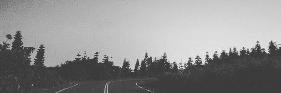 MitchellRied's profile banner image