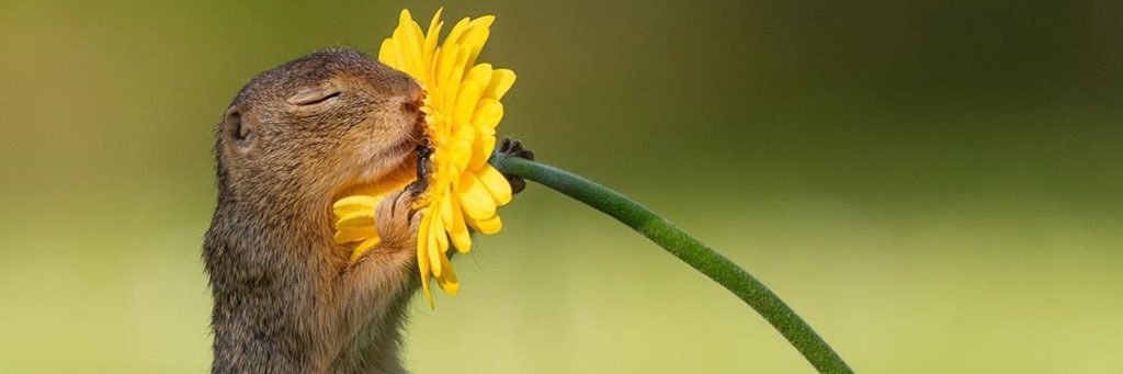 HARRYDlAMONDS's profile banner image