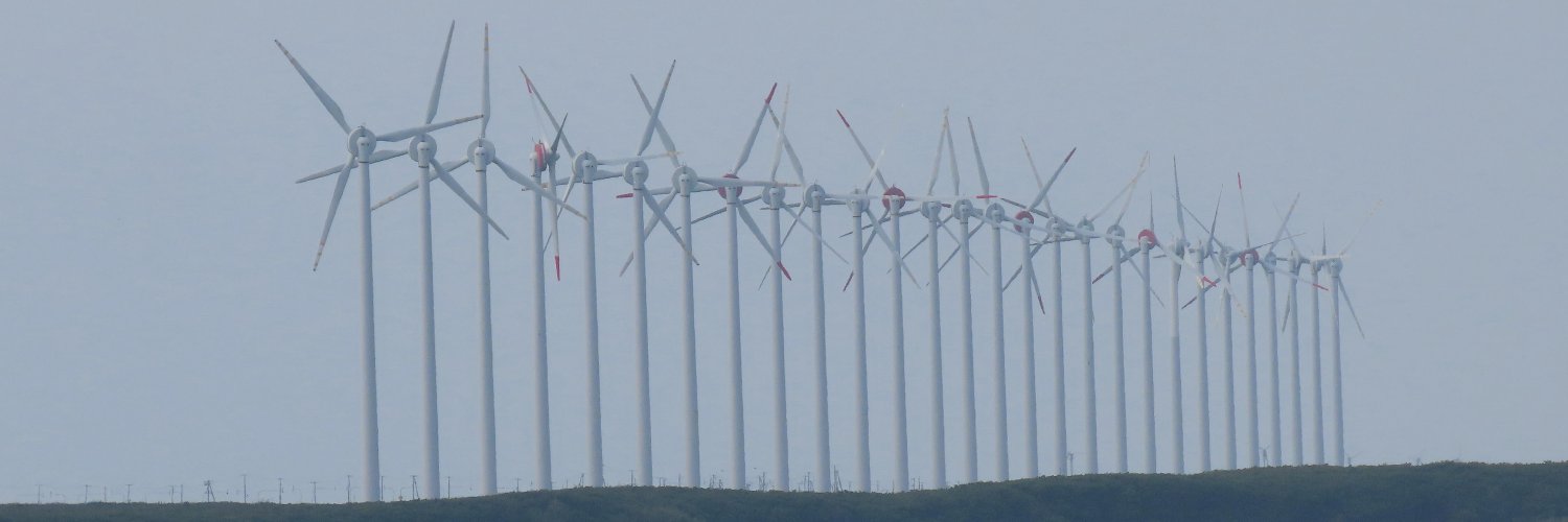 翼が折れたきたきつね banner