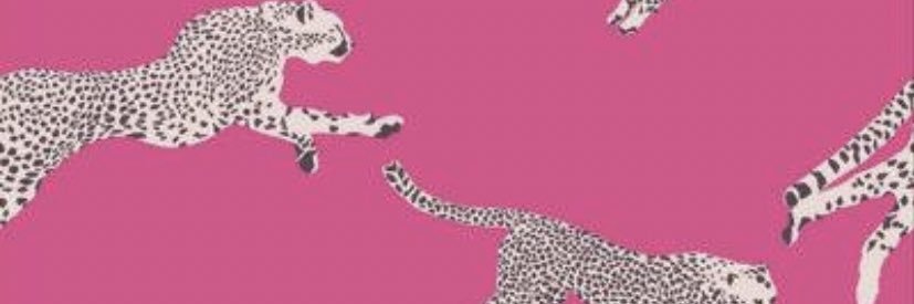 morgan__aultman's profile banner image