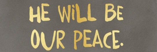 Sarah Bess Wilson banner