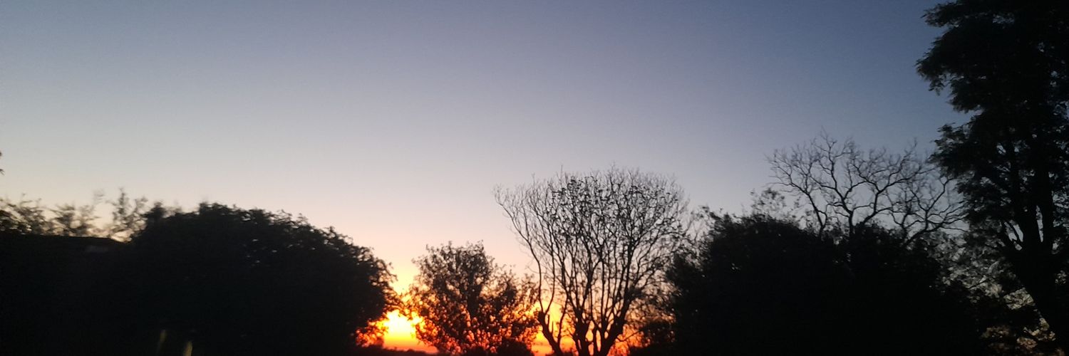 MaraDelgado4's profile banner image