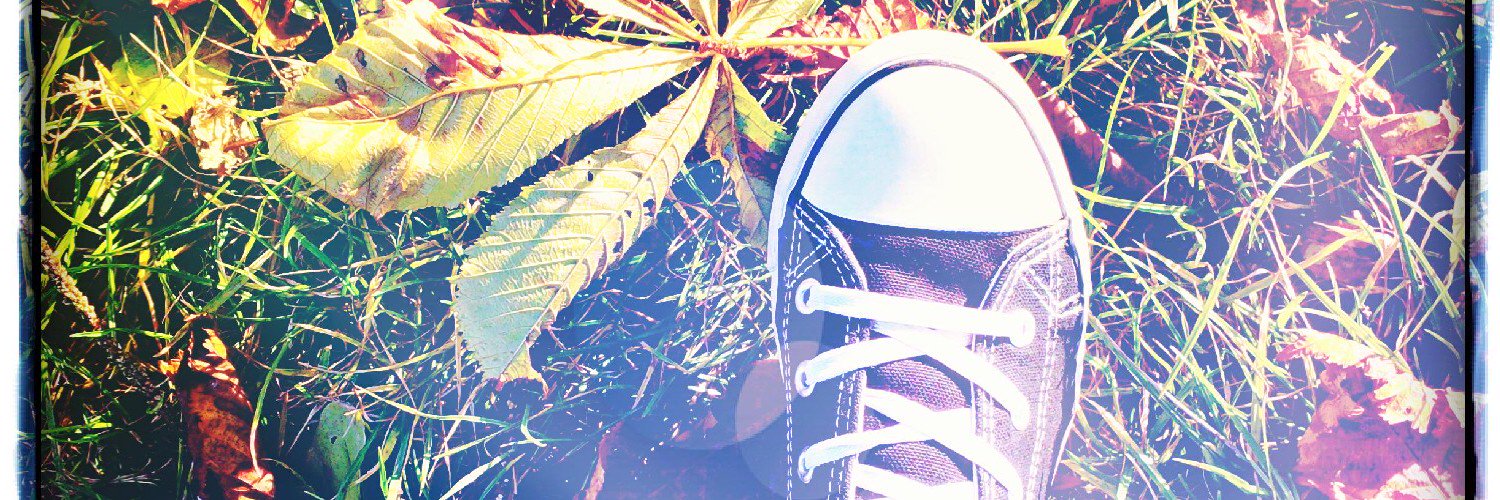 mintwalkoflife's profile banner image