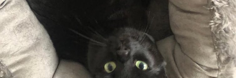 DavidFeij's profile banner image