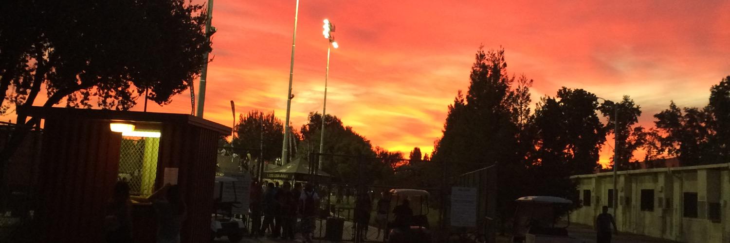 Joe DiFilippo banner