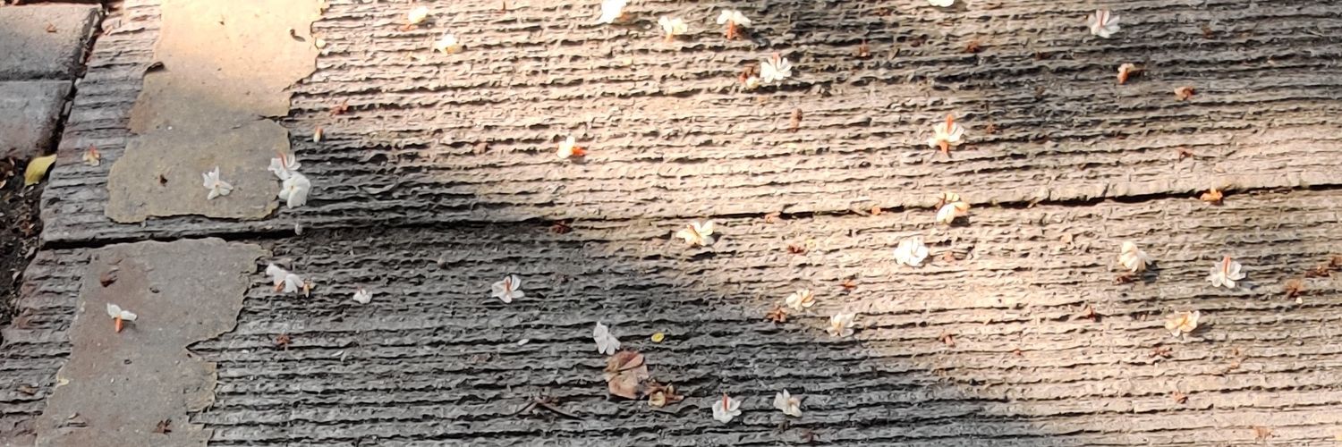 Aishwarya Parikh banner