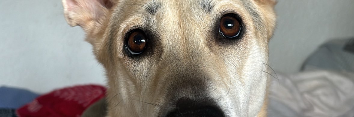 MaryanlovesJLR's profile banner image