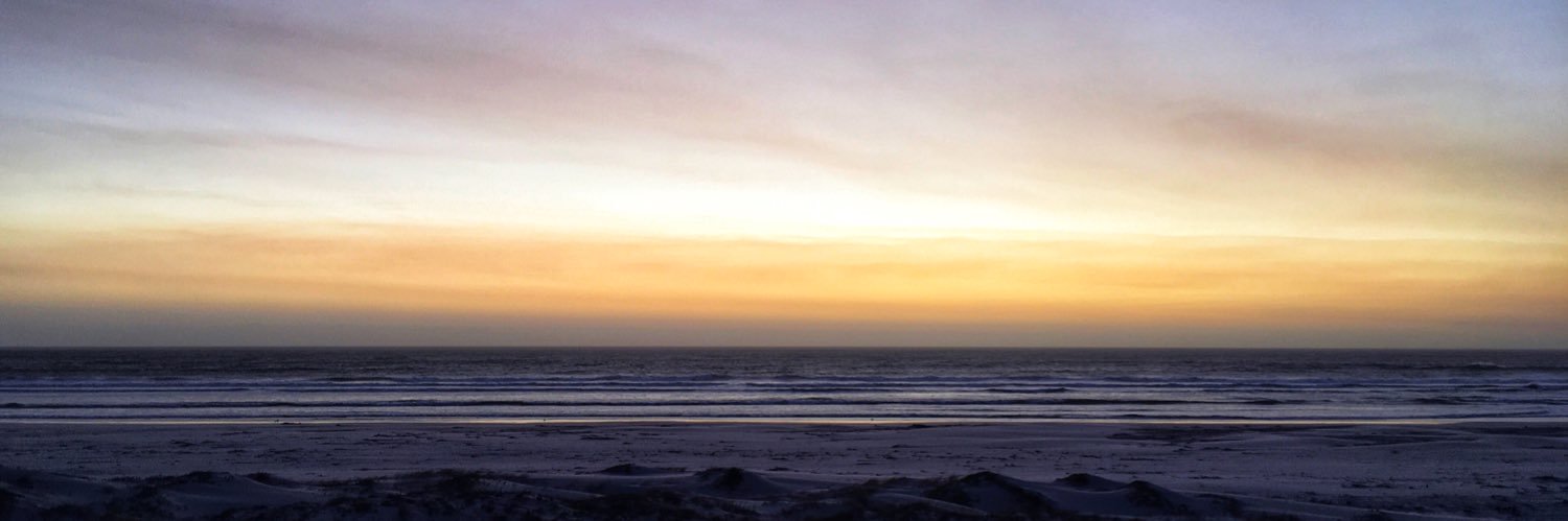 Louis Oelofse banner