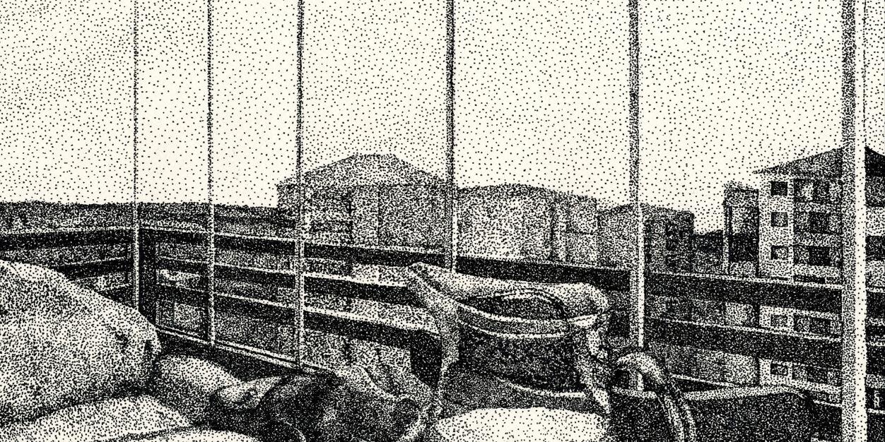 AslinurTaskin's profile banner image