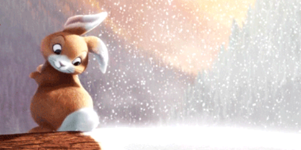 Anthrobunny's profile banner image