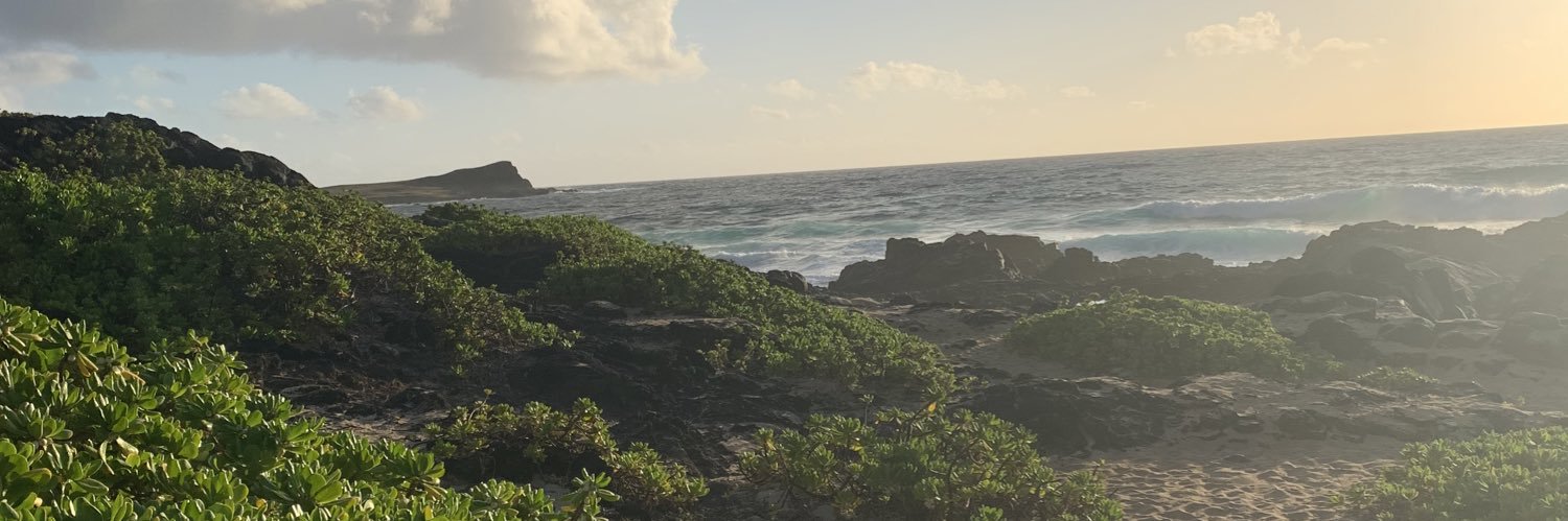 meeeggi's profile banner image