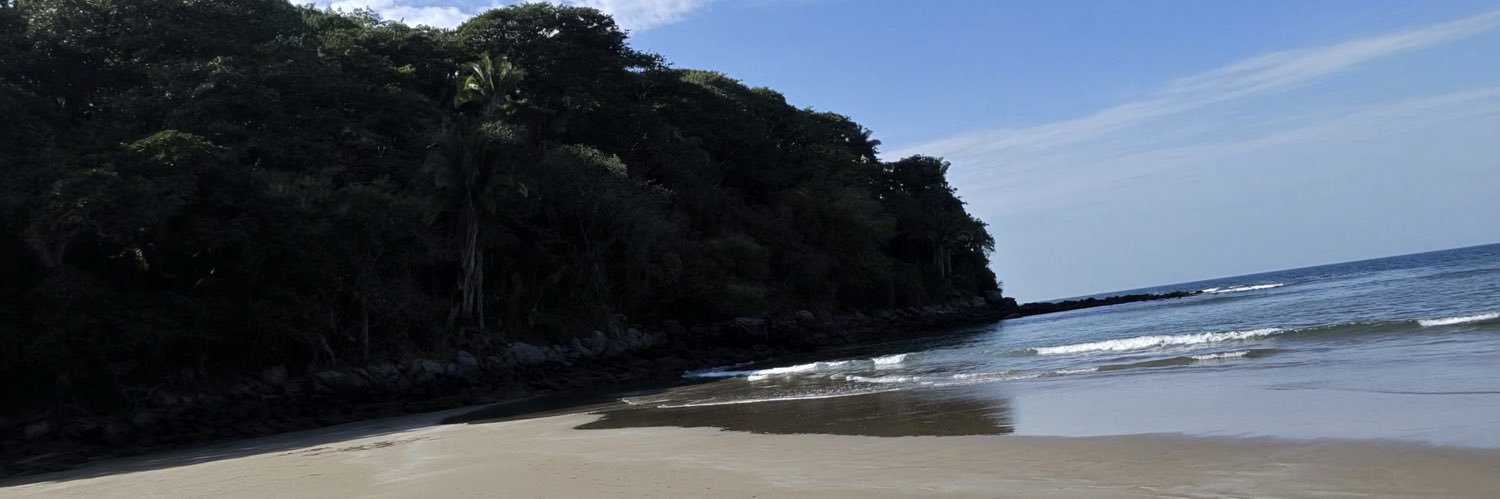 Natgallangos's profile banner image