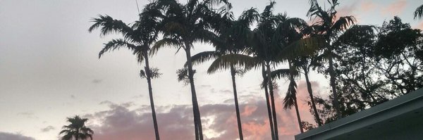 kmusheno Profile Banner