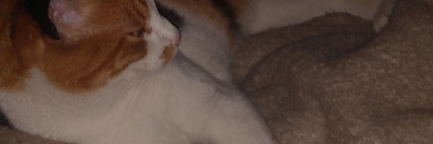 speechlessoul's profile banner image