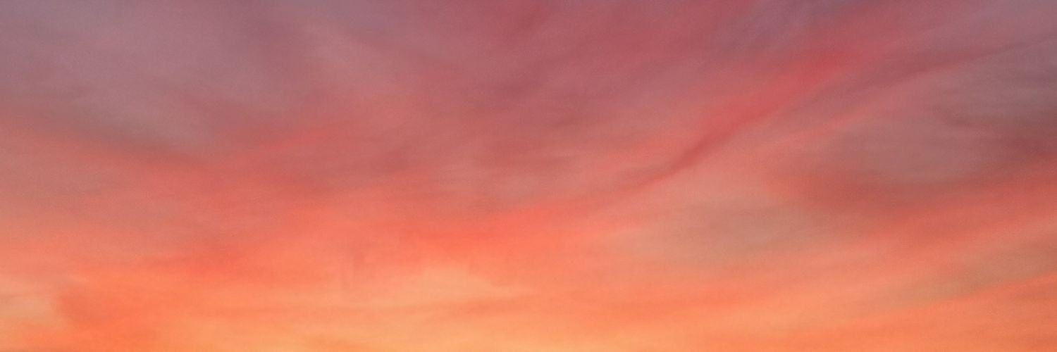 martafd__'s profile banner image