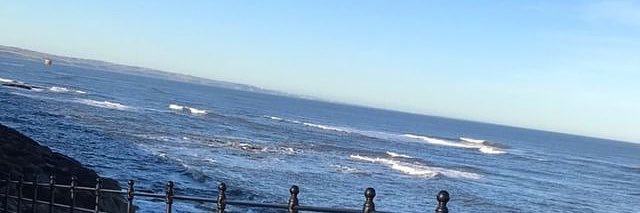 Steven Bramley banner