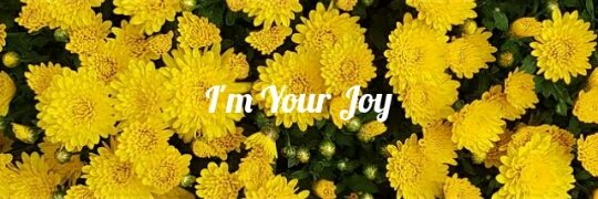 joy_fullofjoy's profile banner image
