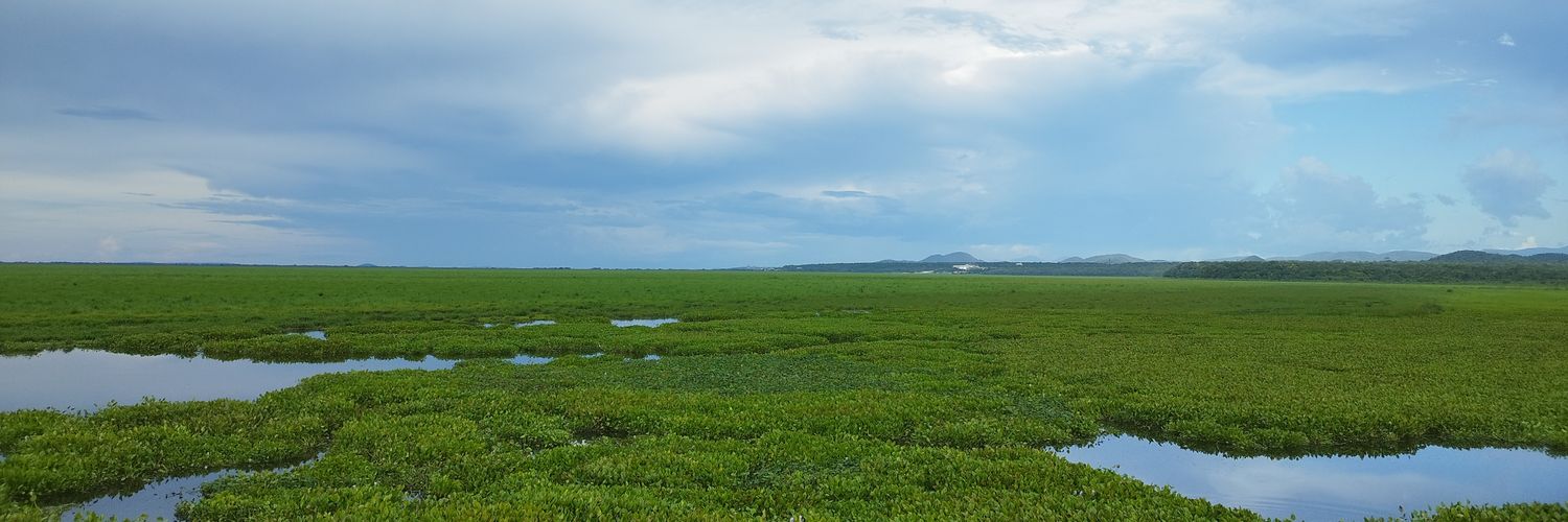 diegomariano's profile banner image