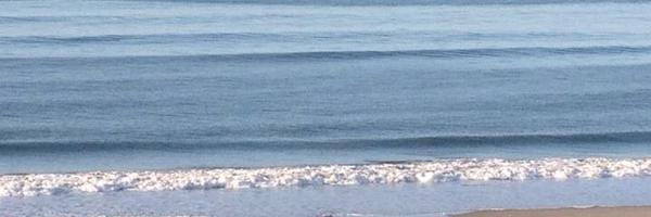 LL_Carson3 Profile Banner