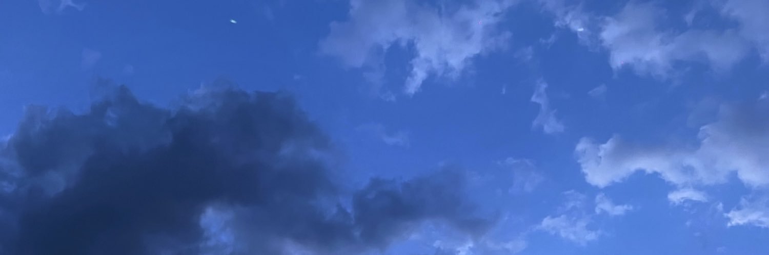 areli_segu's profile banner image