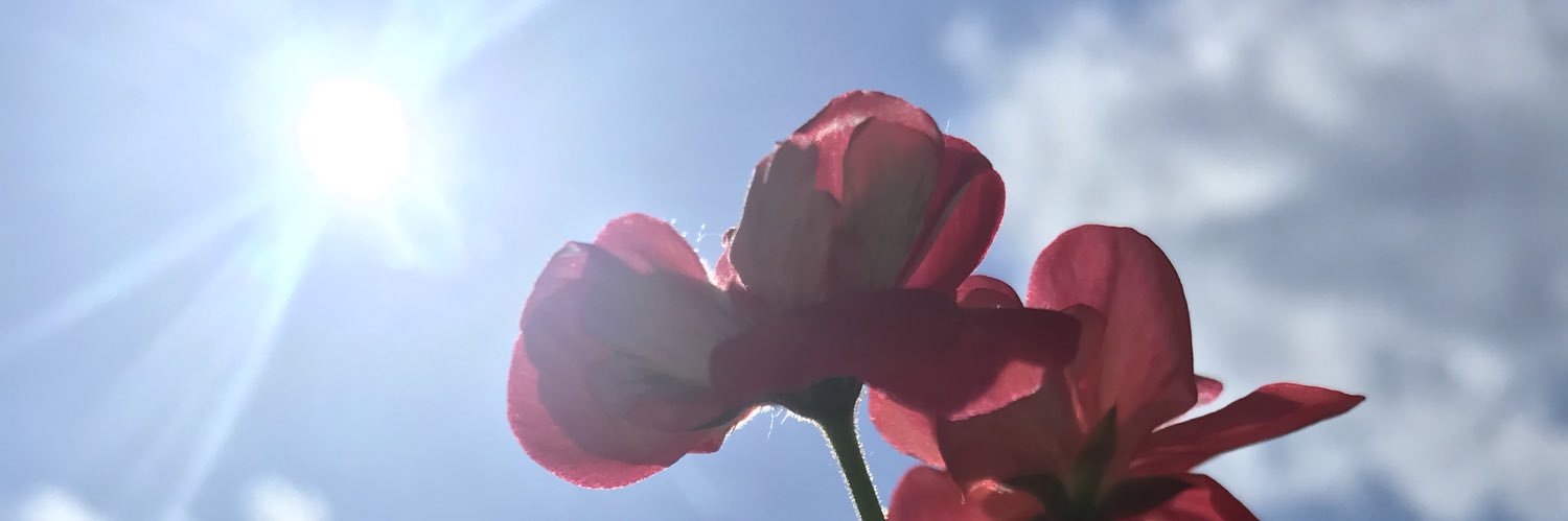 htcecrpn's profile banner image