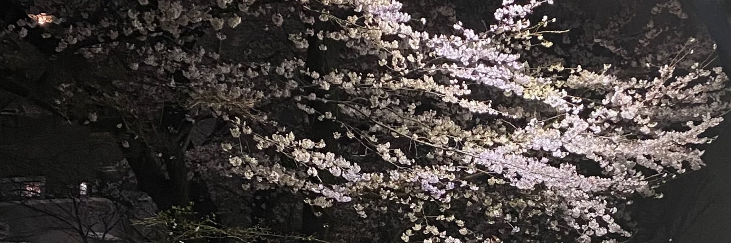 mekakure's profile banner image
