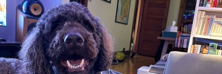 AdamWallstein's profile banner image