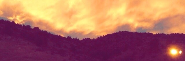 Spence_Sense's profile banner image