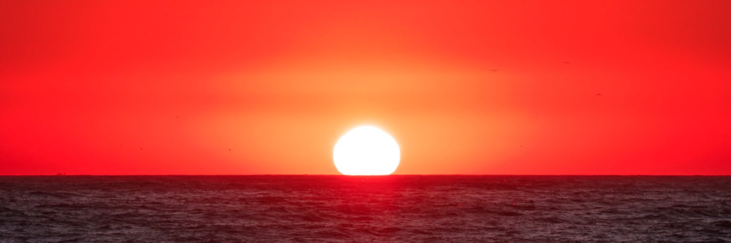 MatthewHarnett's profile banner image