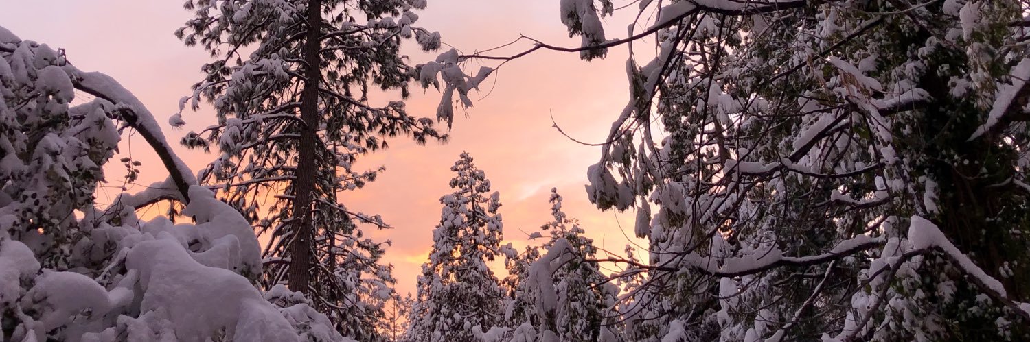 MamaFrost3's profile banner image