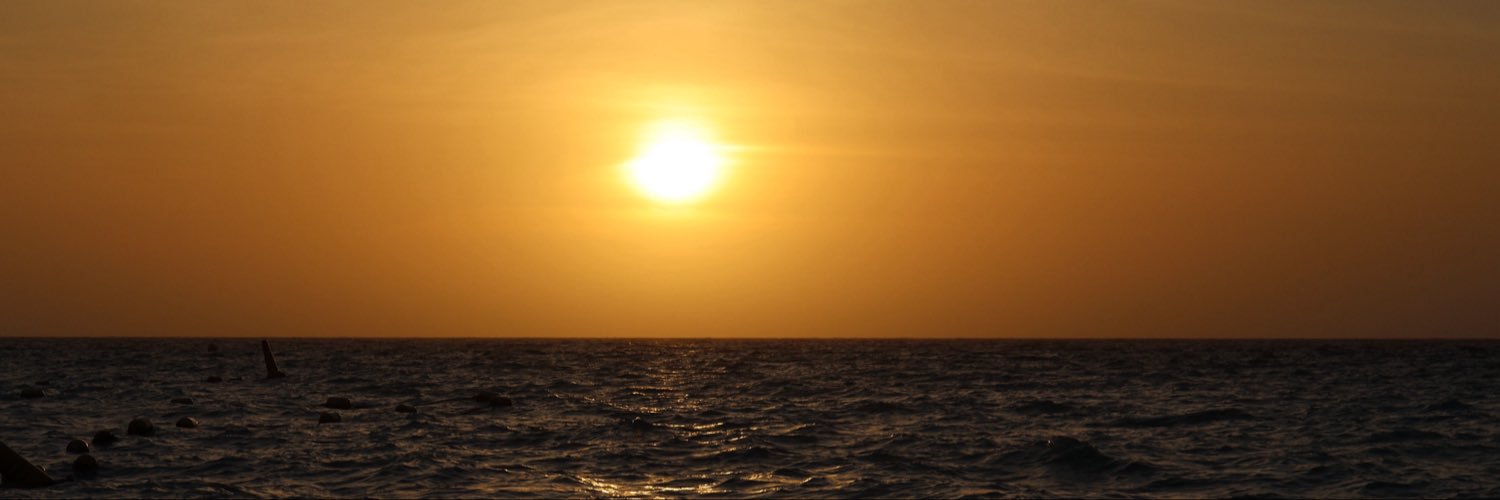 nancygueevara's profile banner image