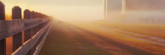 HallTate's profile banner image