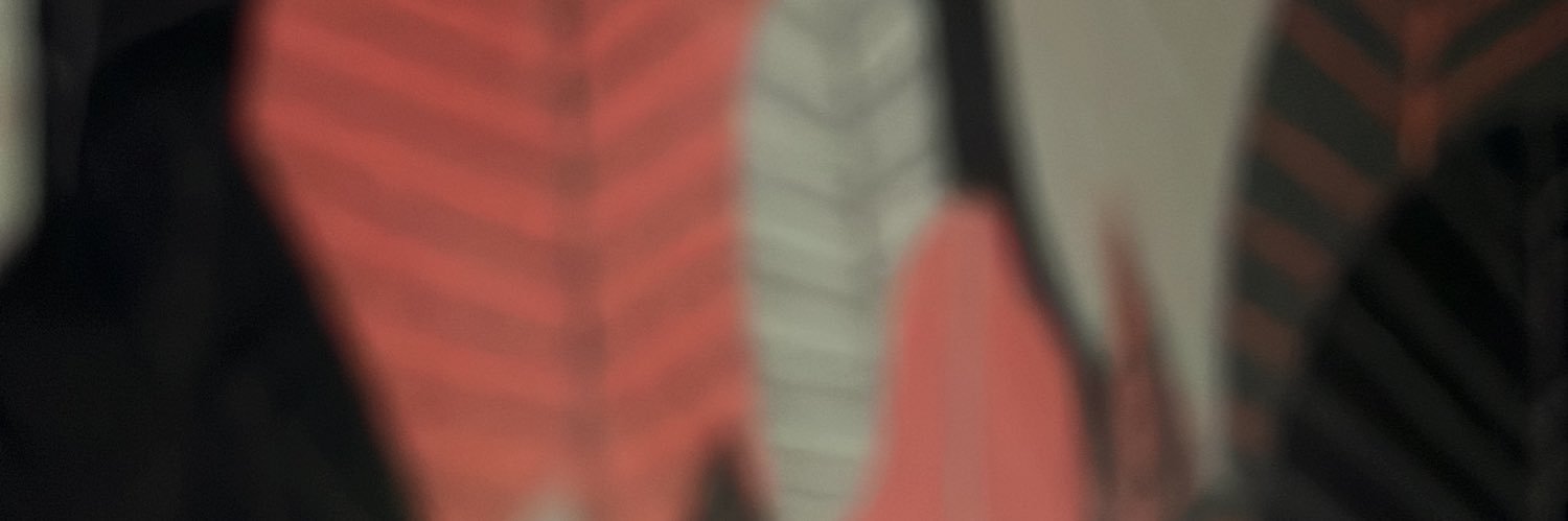 MilimiliAg's profile banner image