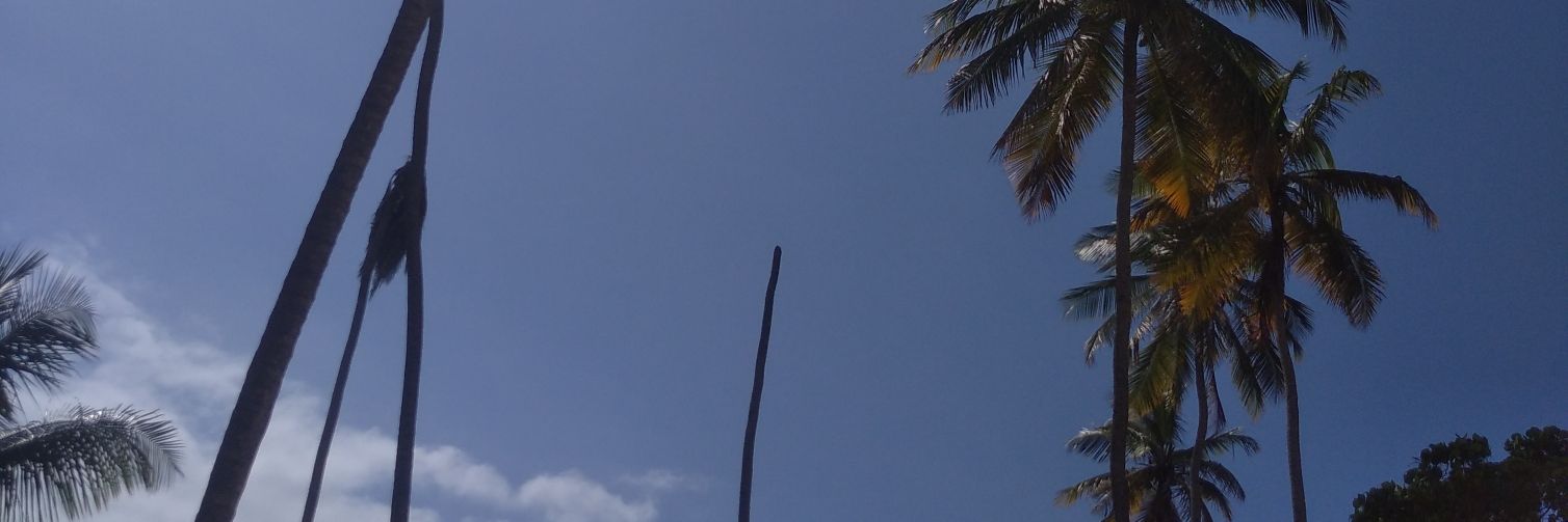 contrerasOG's profile banner image