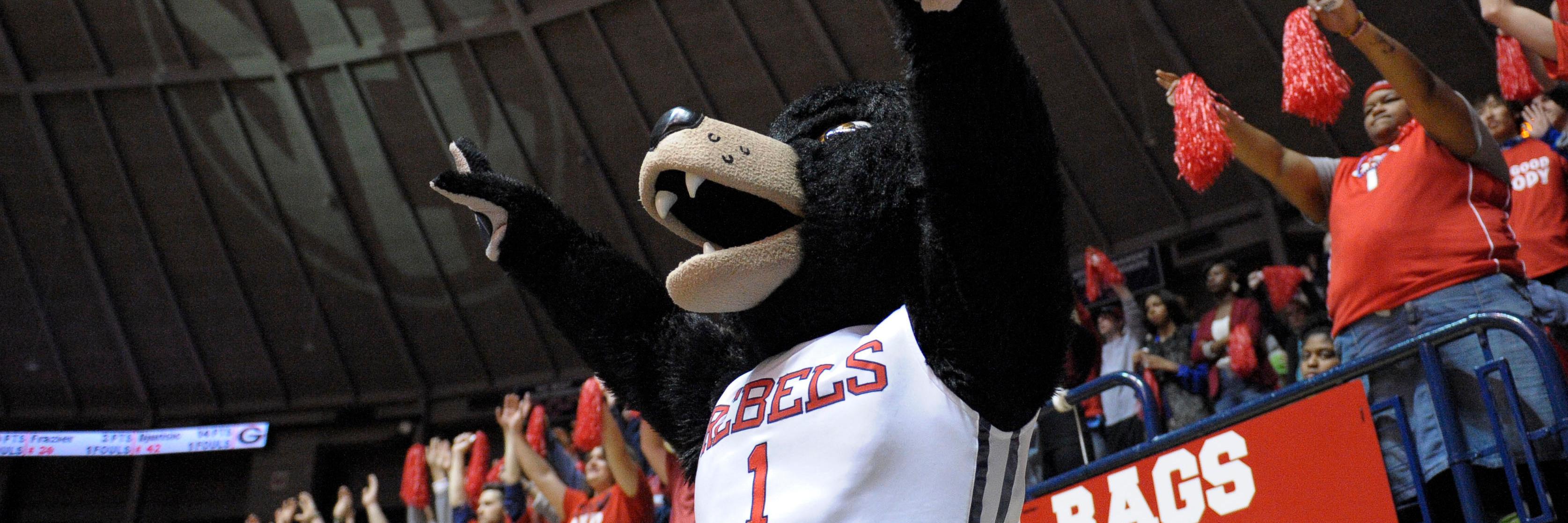 OleMissOnScout's profile banner image