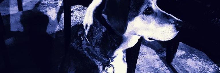 DesEng banner