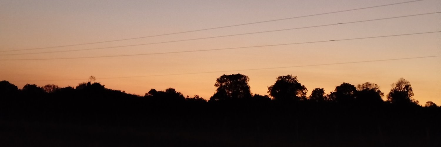VisseCrau's profile banner image