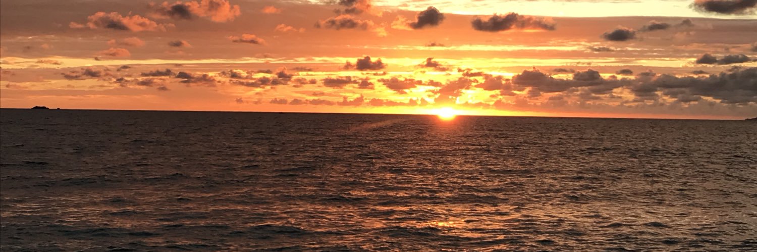 Domilee83's profile banner image
