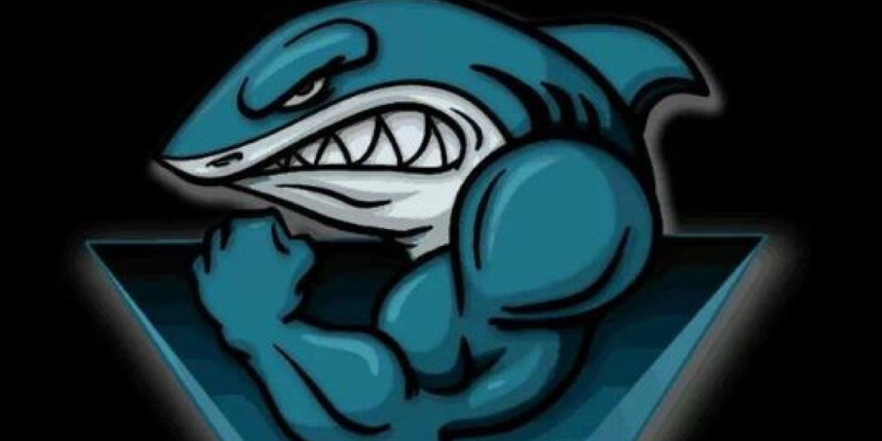 azurchipi's profile banner image