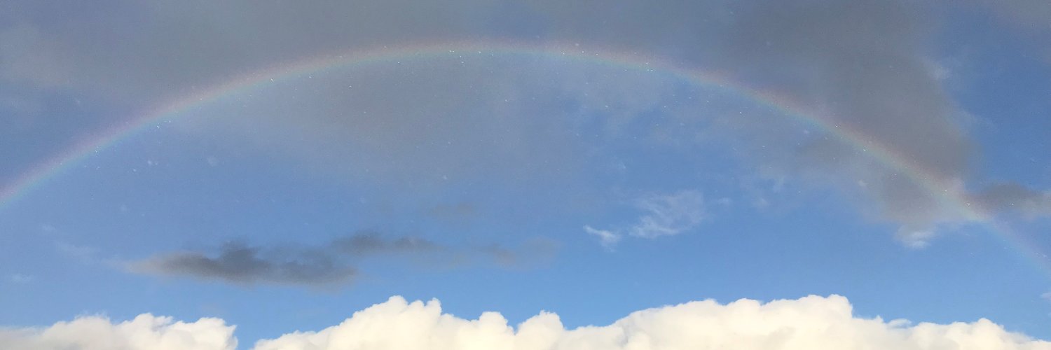 mntsfo's profile banner image