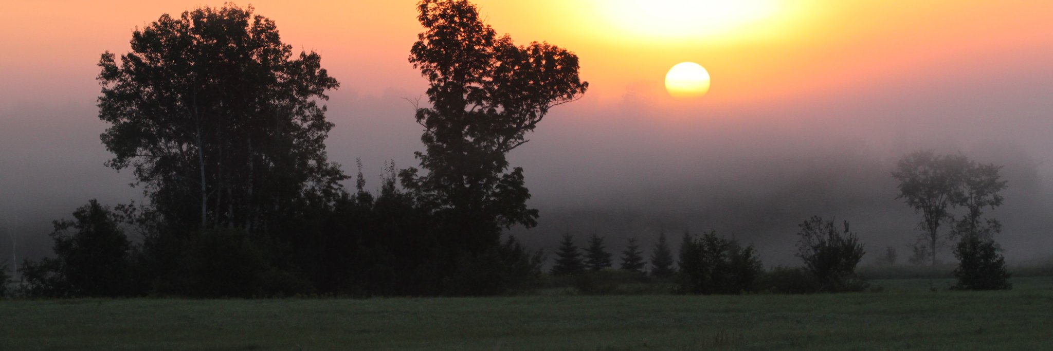 bss3779's profile banner image