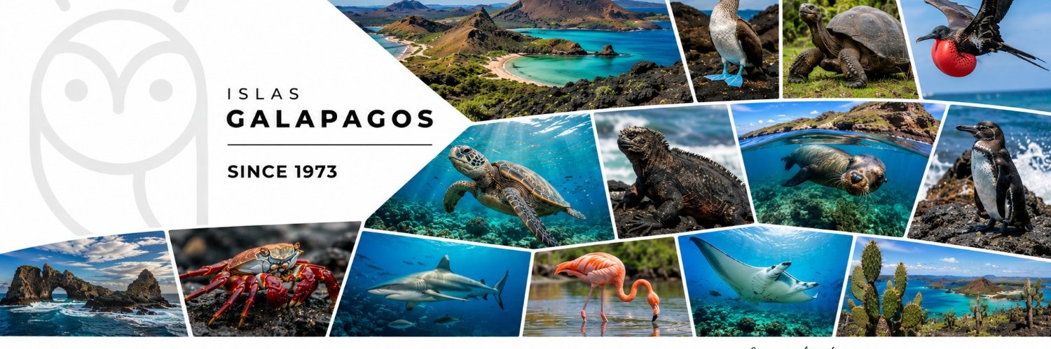 GalapOnline's profile banner image